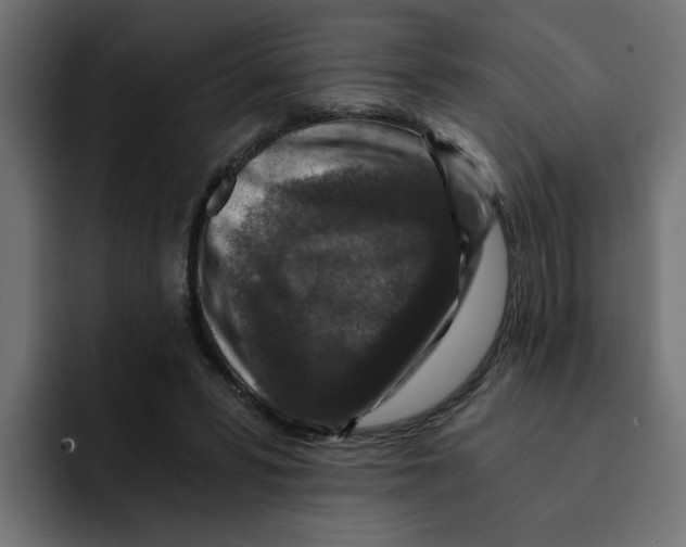 X0000092000399200710041011