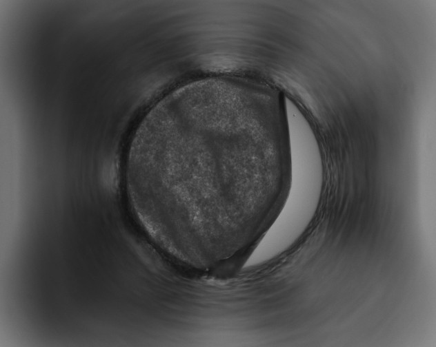 X0000092000400200710041011