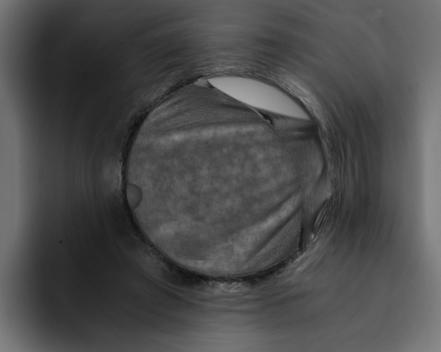 X0000092000401200710041011