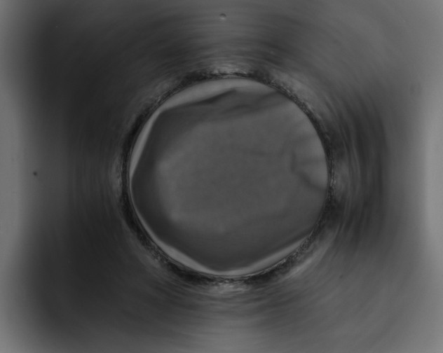 X0000092000402200710041011