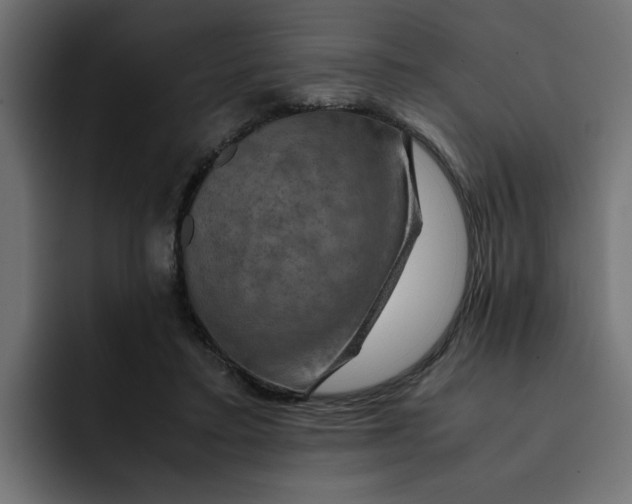 X0000092000403200710041011