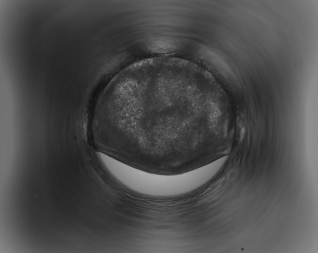 X0000092000404200710041011