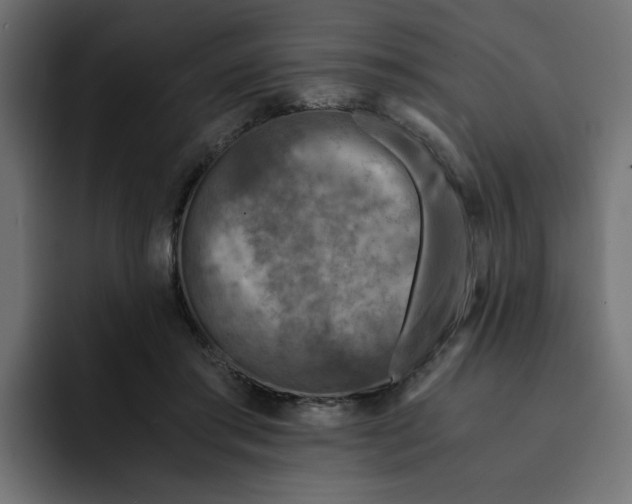 X0000092000405200710041011