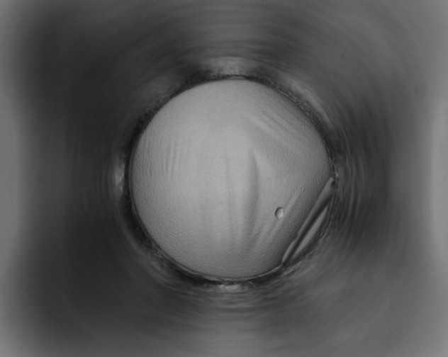 X0000092000406200710041011