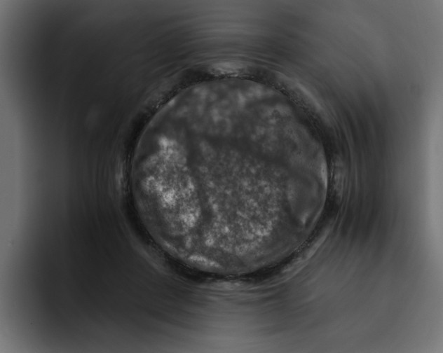 X0000092000408200710041011