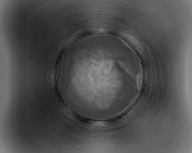 X0000092000409200710041011