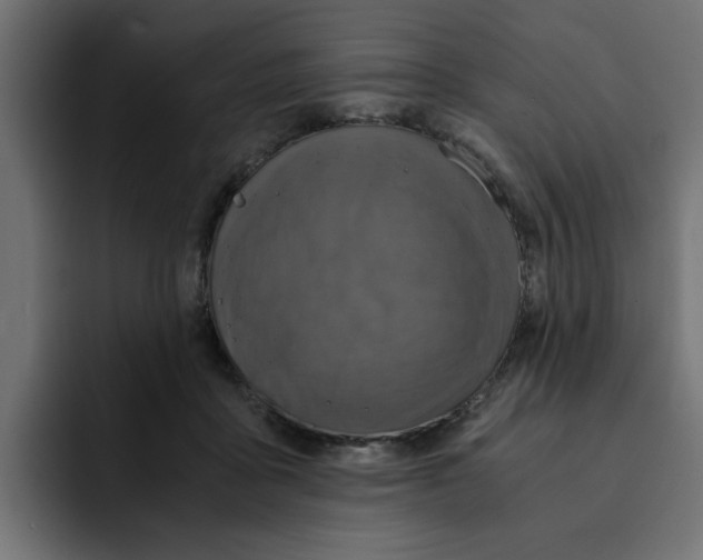 X0000092000411200710041011