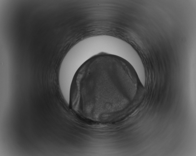 X0000092000412200710041011