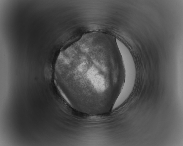 X0000092000413200710041011