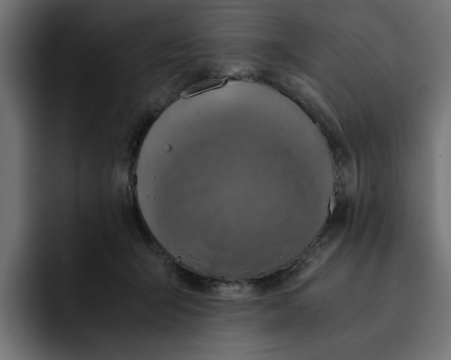 X0000092000415200710041011