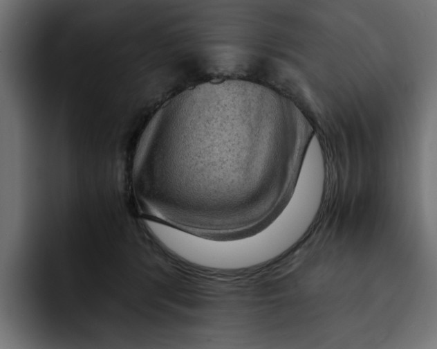 X0000092000416200710041011