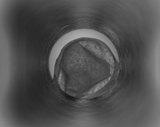 X0000092000421200710041011