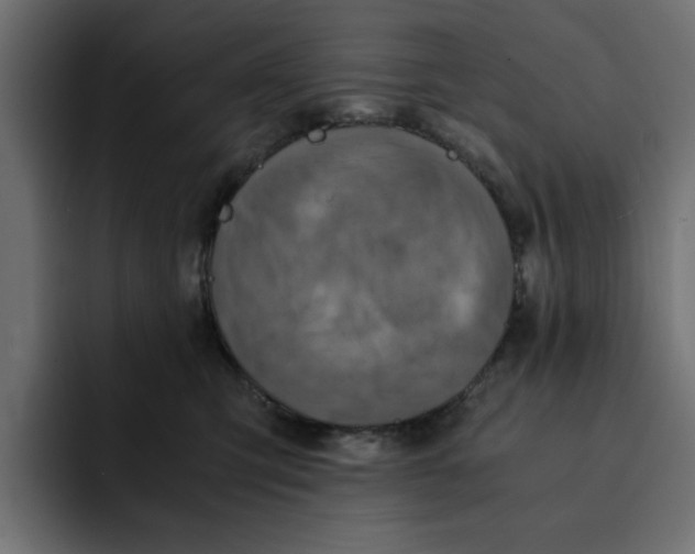 X0000092000423200710041011