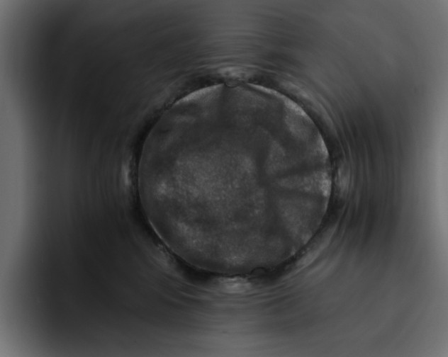 X0000092000424200710041011