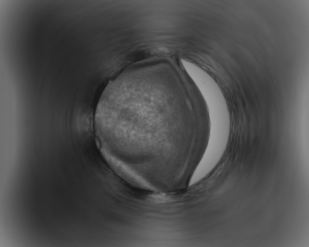 X0000092000425200710041011