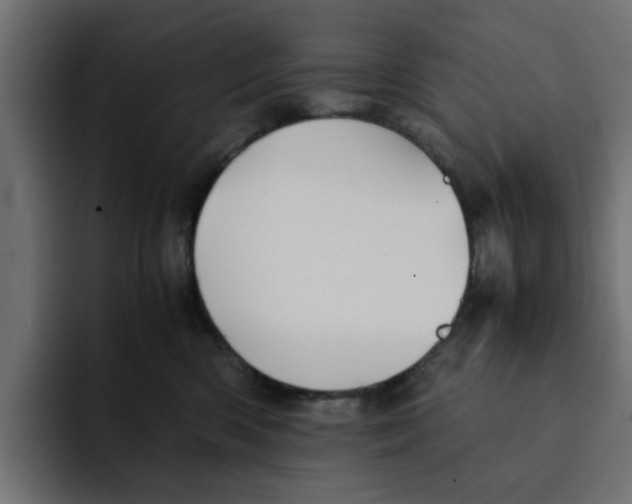 X0000092000426200710041011