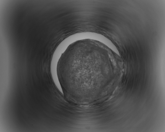 X0000092000428200710041011