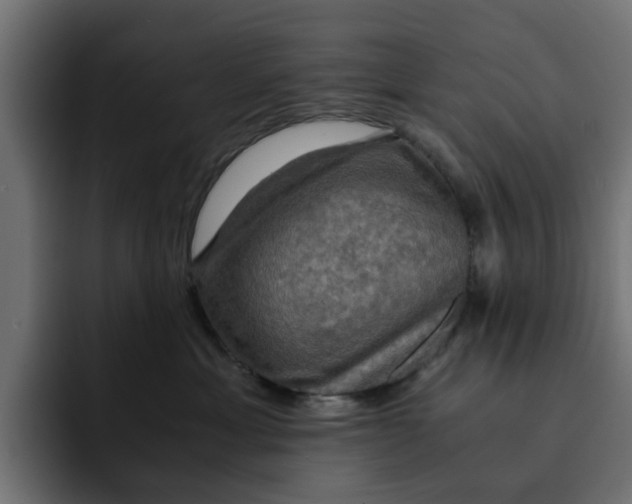 X0000092000429200710041011