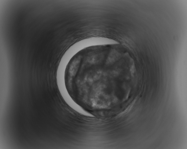 X0000092000432200710041011