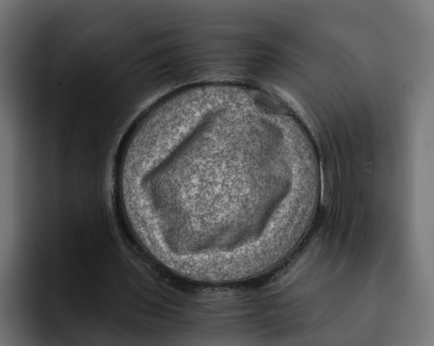 X0000092000435200710041010