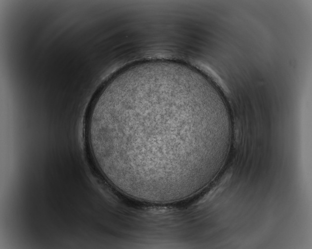 X0000092000439200710041010