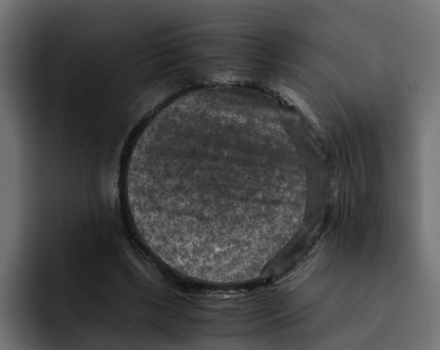 X0000092000443200710041010