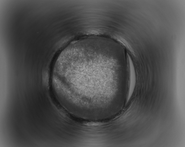 X0000092000444200710041010