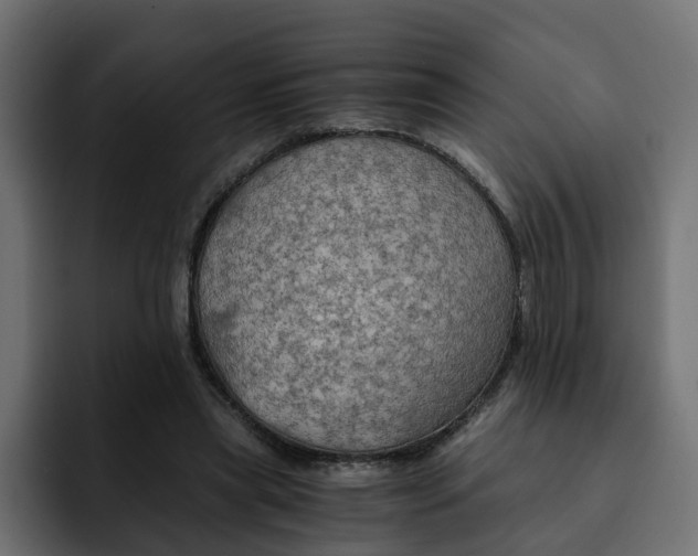 X0000092000445200710041010