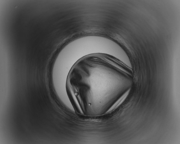 X0000092000448200710041010