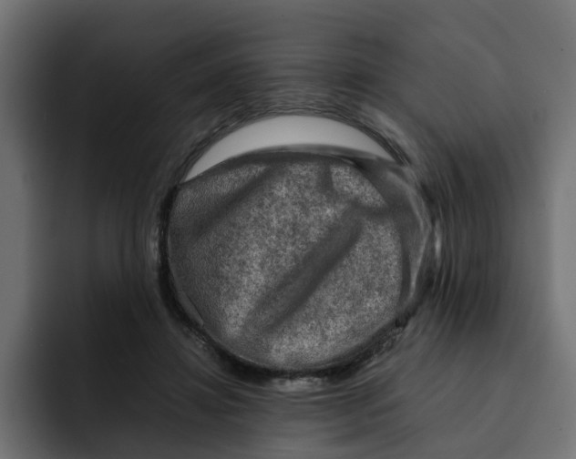 X0000092000452200710041010