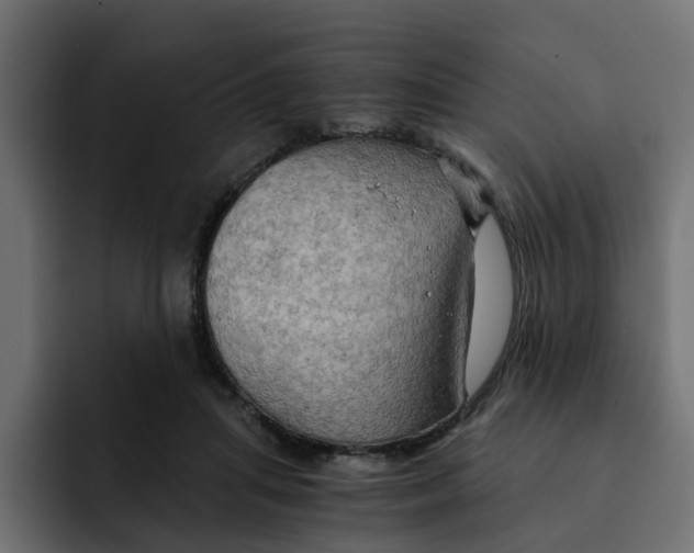 X0000092000455200710041010