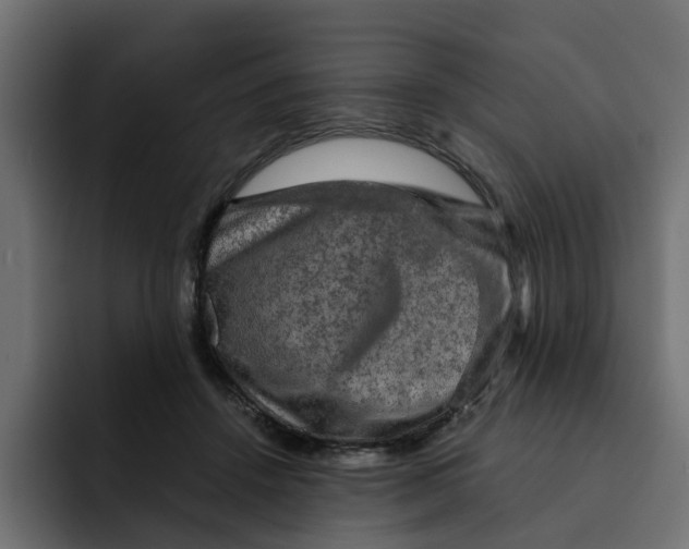 X0000092000456200710041010