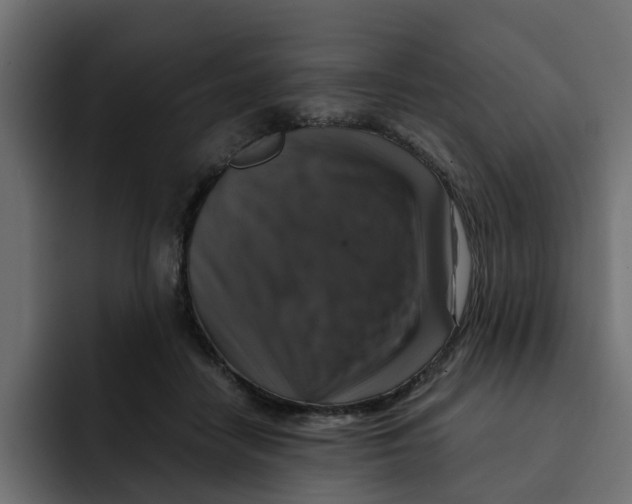 X0000092000458200710041010