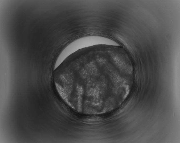 X0000092000459200710041010