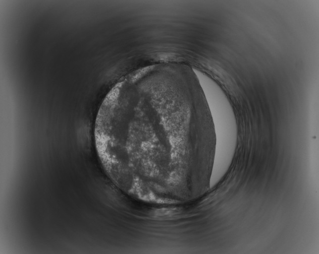 X0000092000461200710041010