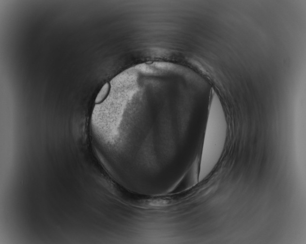 X0000092000462200710041010