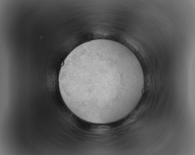 X0000092000463200710041011