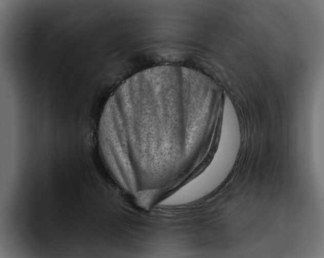 X0000092000464200710041011