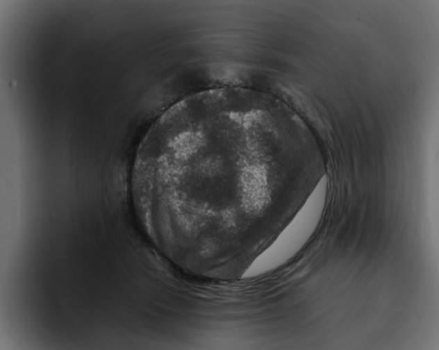 X0000092000466200710041011