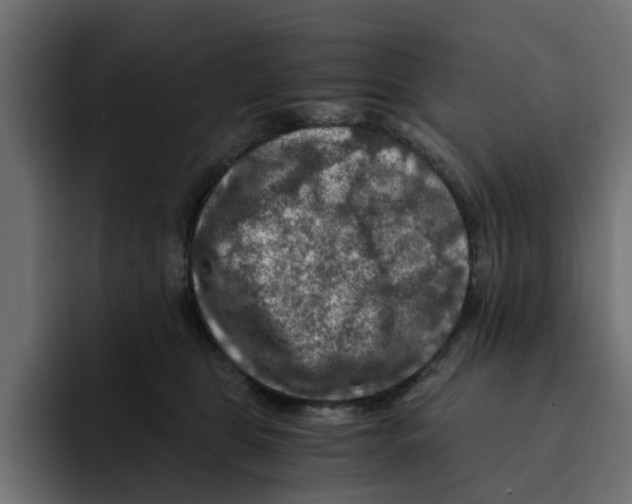 X0000092000469200710041011