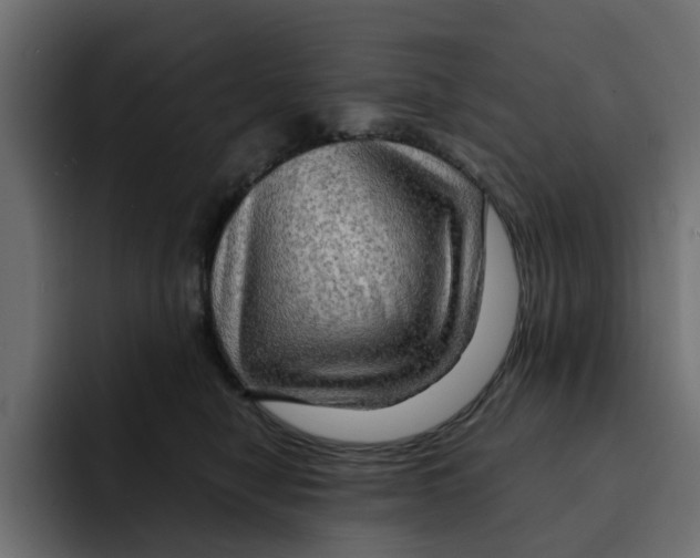 X0000092000470200710041011