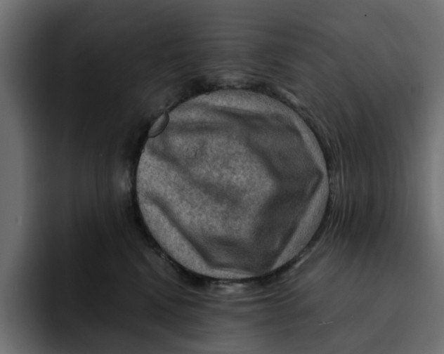 X0000092000472200710041011