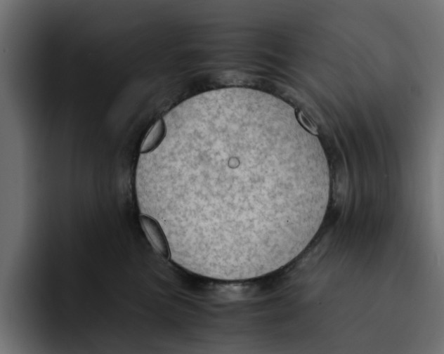 X0000092000473200710041011