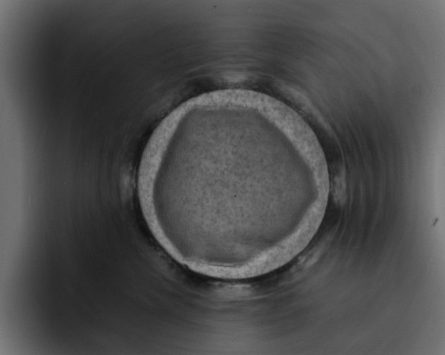 X0000092000476200710041011