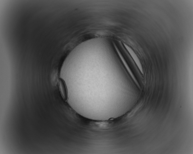 X0000092000478200710041011