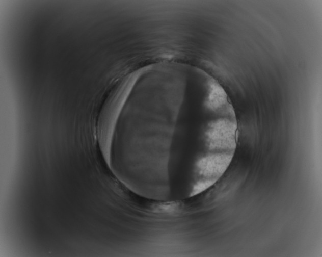 X0000092000479200710041011