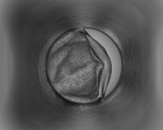 X0000092000481200710041010