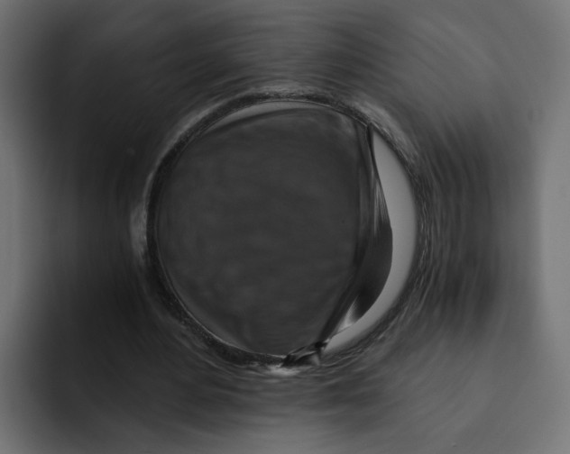 X0000092000484200710041010