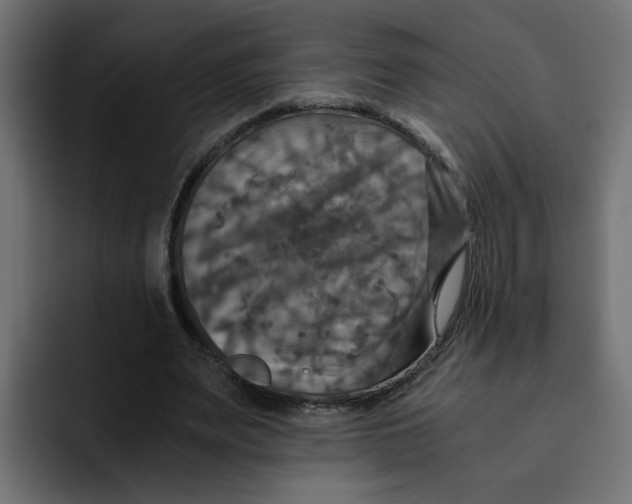 X0000092000487200710041010