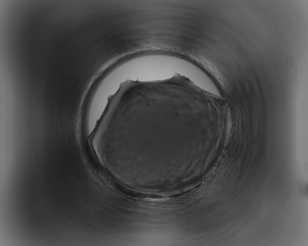 X0000092000488200710041010